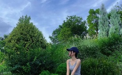 龙腾小说网下载